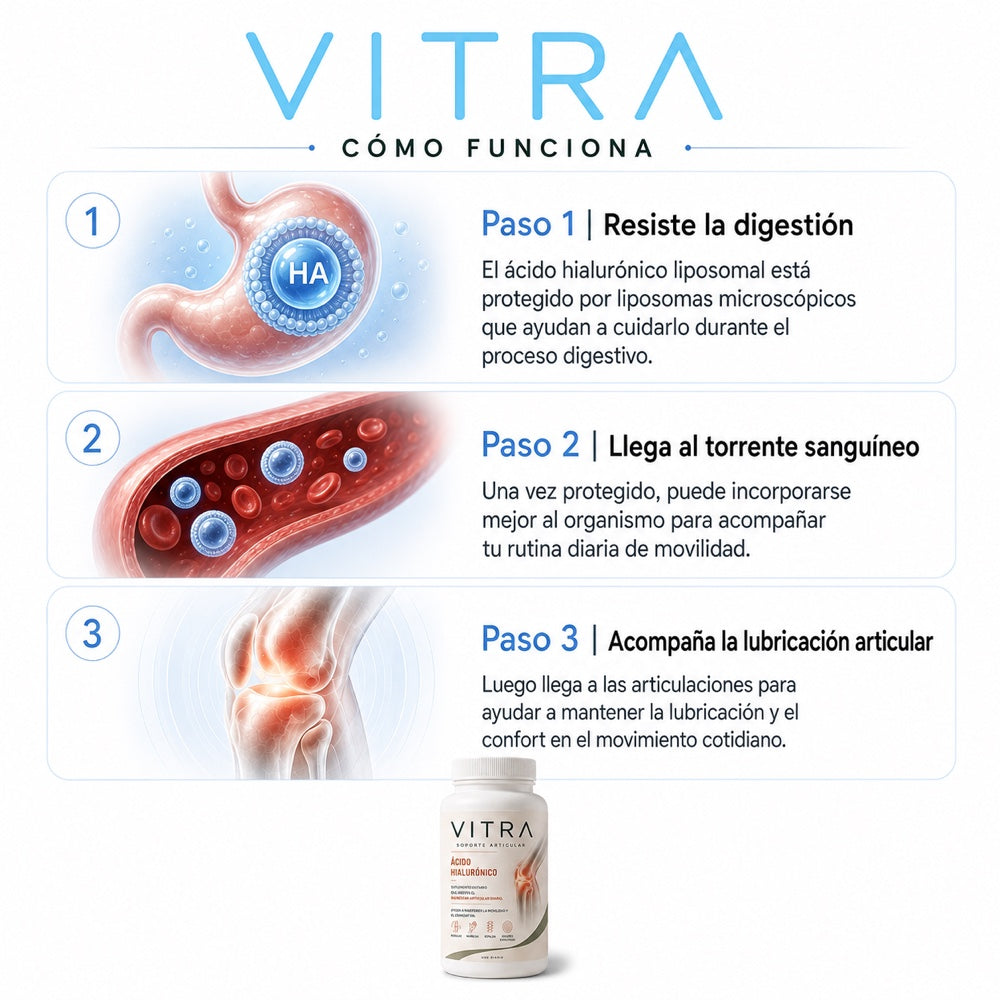 Cómo funciona: resiste la digestión, llega al torrente sanguíneo y acompaña la lubricación
